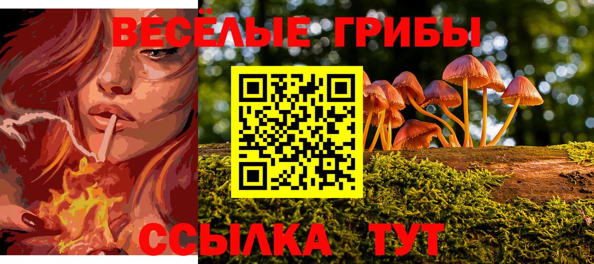 Псилоцибиновые грибы Psilocybe  Вход с VPN  цены   Корсаков 