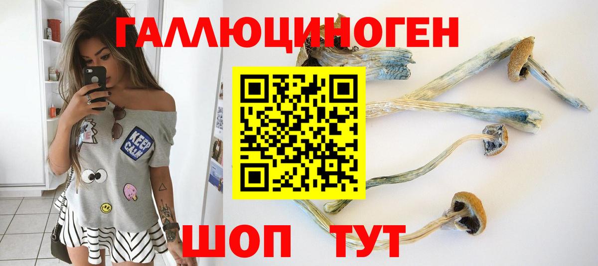Галлюциногенные грибы мухоморы Корсаков
